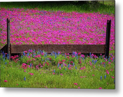 Texas Metal Print featuring the photograph The Great Divide by Lynn Bauer
