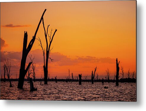 Orange Metal Print featuring the photograph The Lake by Vicki Walsh