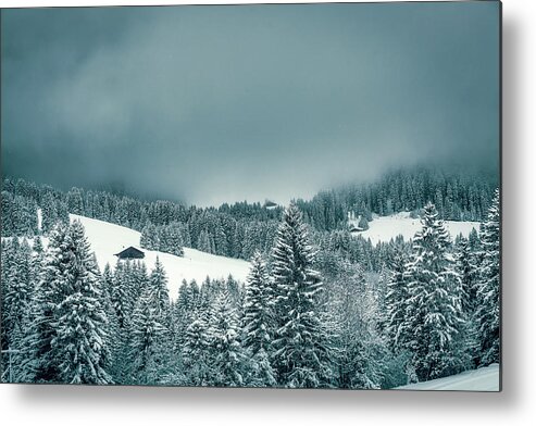 Timeless Metal Print featuring the photograph The Last Winter Refuge by Benoit Bruchez