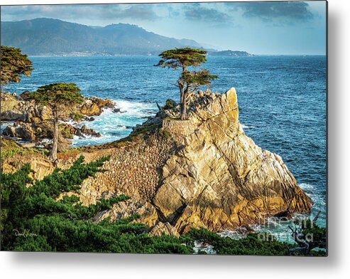 17 Mile Drive Metal Print featuring the photograph The Lone Cypress by David Levin