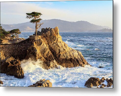 Ngc Metal Print featuring the photograph The Lone Cypress by Robert Carter