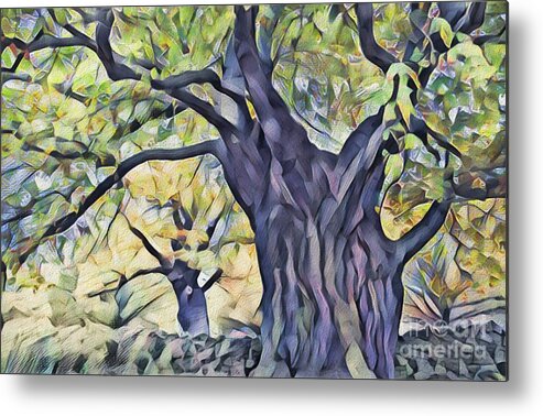 Trees Metal Print featuring the photograph The Mighty Oak Tree by Philip Preston