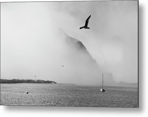 Morro Rock Metal Print featuring the photograph The Mist by Gina Cinardo