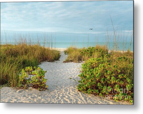 Anna Maria Island Metal Print featuring the photograph The Most Beautiful Morning at the Beach, Florida by Liesl Walsh