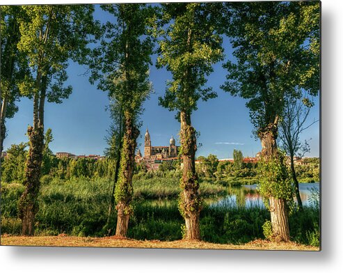 Salamanca Metal Print featuring the photograph The opposite bank by Micah Offman