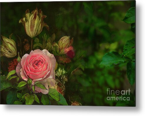 Rose Metal Print featuring the mixed media Vintage Rose by Shelia Hunt