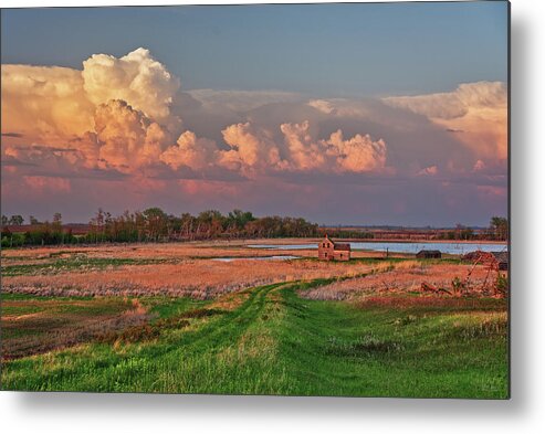 Stensby Metal Print featuring the photograph The Path Home - series - Stensby farm homestead in Benson County ND by Peter Herman