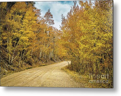 Jon Burch Metal Print featuring the photograph The Road Less Traveled by Jon Burch Photography