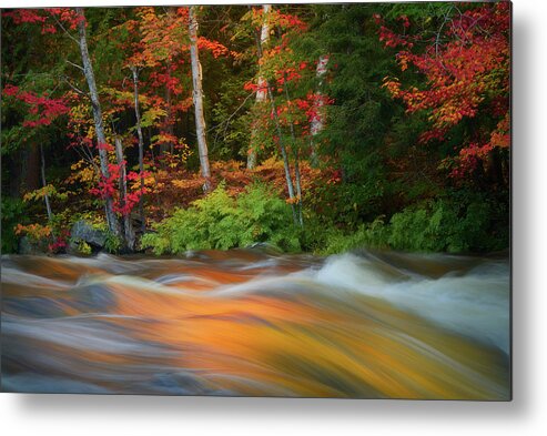 Autum Metal Print featuring the photograph The Season's Rythem by Henry w Liu
