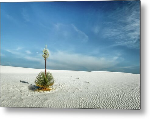 White Sands National Monument Metal Print featuring the photograph The Sentinel by James Barber