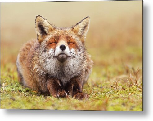 Fox Metal Print featuring the photograph The Smiling Fox by Roeselien Raimond