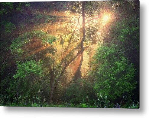 Sunrise Metal Print featuring the photograph The Sun Rays by Henry w Liu
