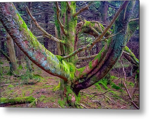 Mossy Tree Metal Print featuring the photograph The Tree nn Roan Mountain OP by Jim Dollar