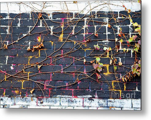 Abstracts Metal Print featuring the photograph The Underpainter by Marilyn Cornwell