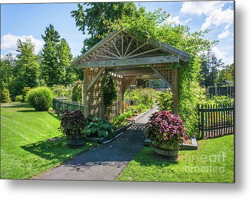 Vegetable Metal Print featuring the photograph The Vegetable Garden at Elizabeth Park by Lorraine Cosgrove