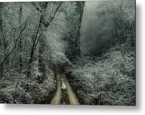 Winter Metal Print featuring the digital art The Welcome Mat by William Fields