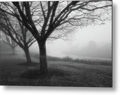Trees In The Mist Metal Print featuring the photograph Three Sisters by John Parulis