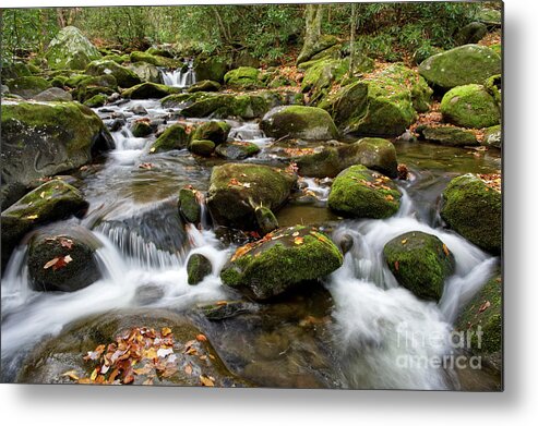 Smoky Mountains Metal Print featuring the photograph Thunderhead Prong 25 by Phil Perkins
