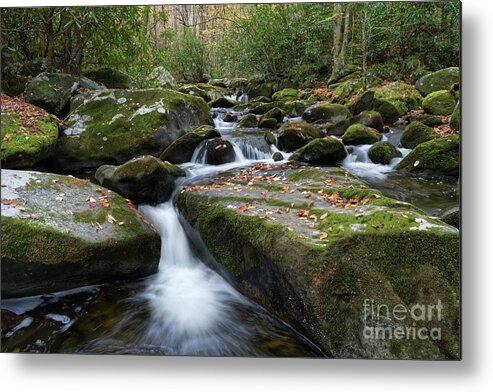Smoky Mountains Metal Print featuring the photograph Thunderhead Prong 28 by Phil Perkins