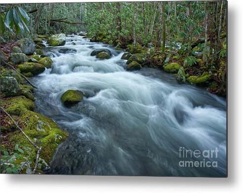 Smoky Mountains Metal Print featuring the photograph Thunderhead Prong 33 by Phil Perkins