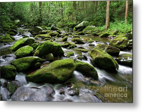Smoky Mountains Metal Print featuring the photograph Thunderhead Prong 7 by Phil Perkins