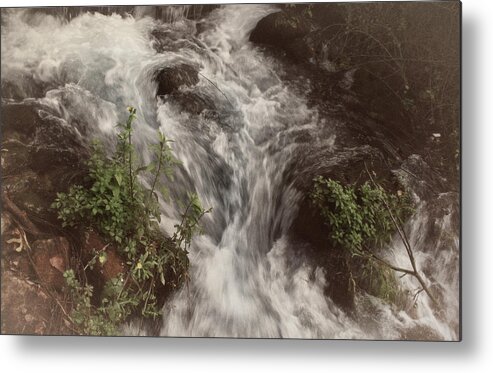Israel Metal Print featuring the photograph To The Jordan River by M Kathleen Warren