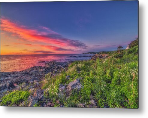 Marginal Way Metal Print featuring the photograph Today's Opportunity by Penny Polakoff