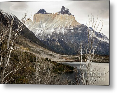 Patagonia Metal Print featuring the photograph Torres del Paine by Erin Marie Davis