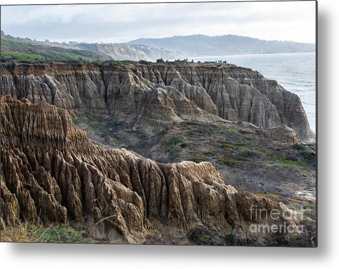 San Diego Metal Print featuring the photograph Torrey Pines by Erin Marie Davis