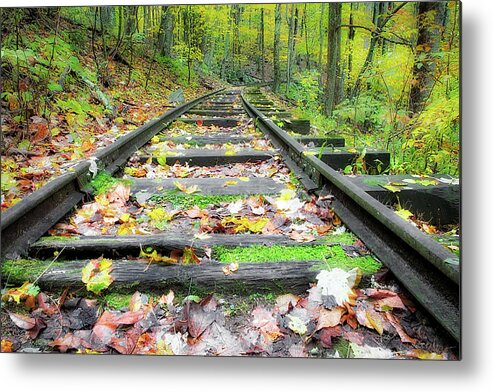 Blue Ridge Parkway Metal Print featuring the photograph Tracks by Nunweiler Photography