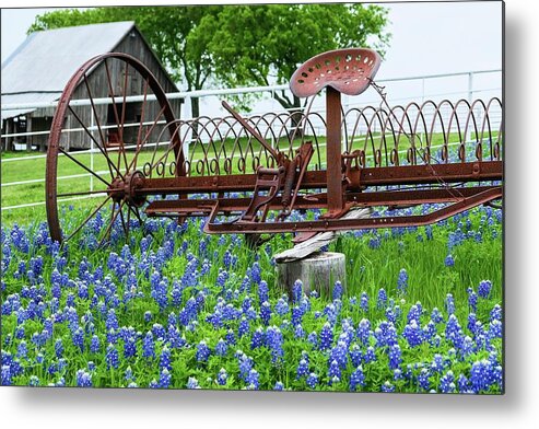 Bluebonnets Metal Print featuring the photograph Tractor in Bluebonnets by Robert Bellomy