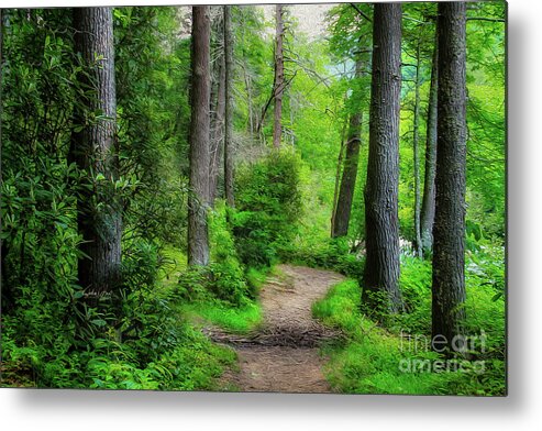 Trail Metal Print featuring the photograph Trail in Blue Ridge Mountains by Shelia Hunt