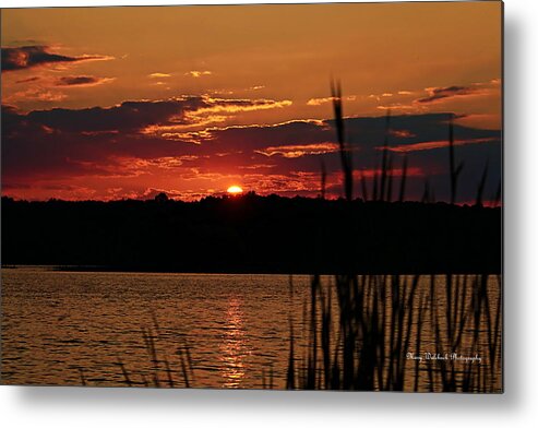 Peacful Metal Print featuring the photograph Tranquility by Mary Walchuck