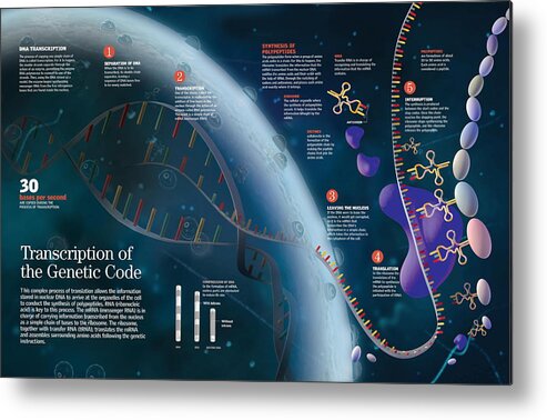 Ciencia Metal Print featuring the digital art Transcription of the genetic code by Album