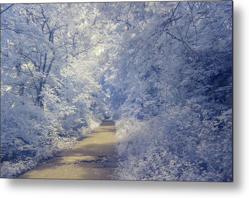 Infrared Metal Print featuring the photograph Traveling Through a Dream by Auden Johnson