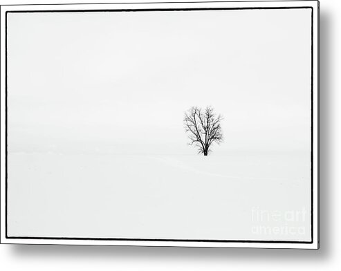 Tree Metal Print featuring the photograph Minimalism 1 by Jack Paolini