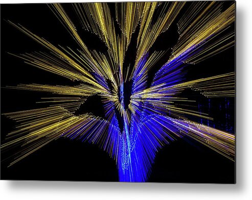 Lens Metal Print featuring the photograph Tree Burst of Blue and Yellow by Liza Eckardt
