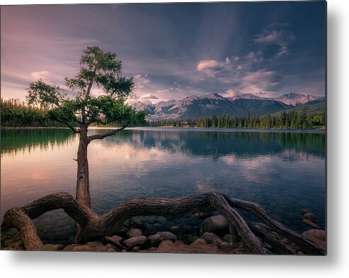 Tree Metal Print featuring the photograph Tree on the lake by Henry w Liu