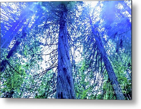 Flower Metal Print featuring the photograph Trees Art by Yvonne Padmos