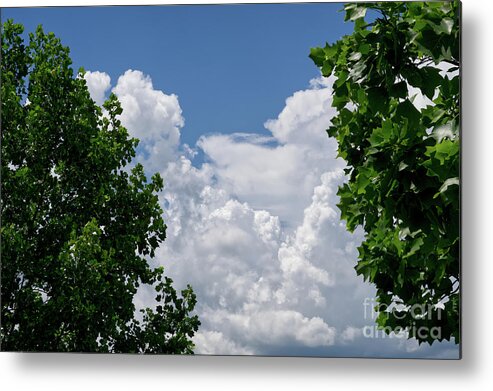 Green Tree Leaves Metal Print featuring the photograph Trees Clouds Sky by Phil Perkins
