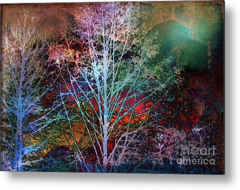 Trees Metal Print featuring the photograph Trees In The Night by Sylvia Cook