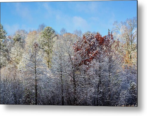 Snow Metal Print featuring the photograph Trees with Snow Dust by Randy Bayne