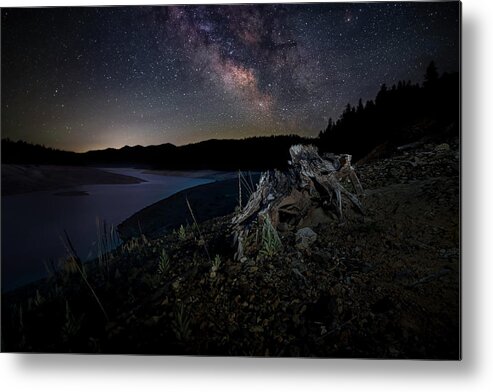 Lake Metal Print featuring the photograph Trinity Stump and Stars by Mike Lee