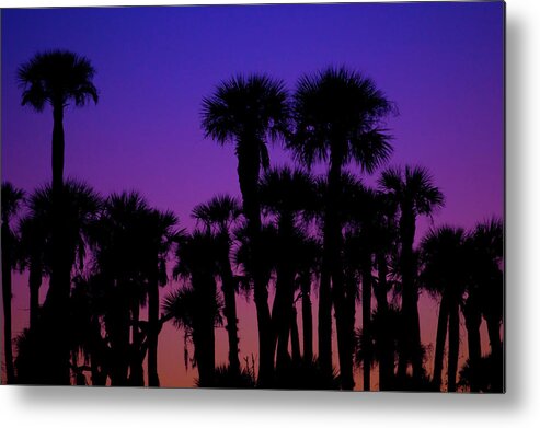 Color Metal Print featuring the photograph Tropical Sunset by Melissa Southern