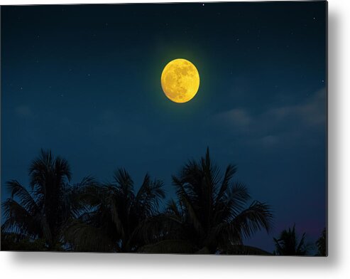 Moon Metal Print featuring the photograph Tropical Visions by Mark Andrew Thomas