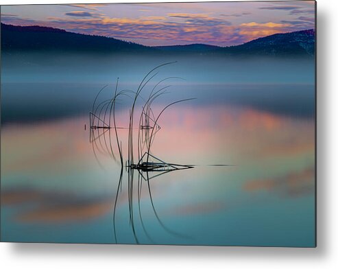 Tule Metal Print featuring the photograph Tule Reflections by Mike Lee