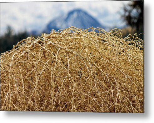 Abstract Metal Print featuring the photograph Tumbleweed by Jonathan Thompson