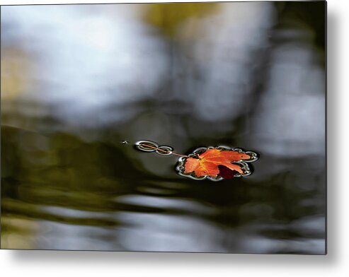 Autumn Metal Print featuring the photograph Twin Lakes Red by Kevin Suttlehan