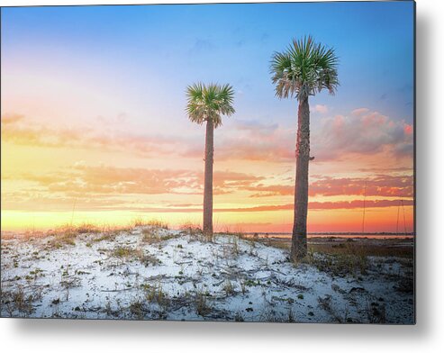 Palm Tree Metal Print featuring the photograph Two Palm Trees At Sunset Pensacola Florida by Jordan Hill