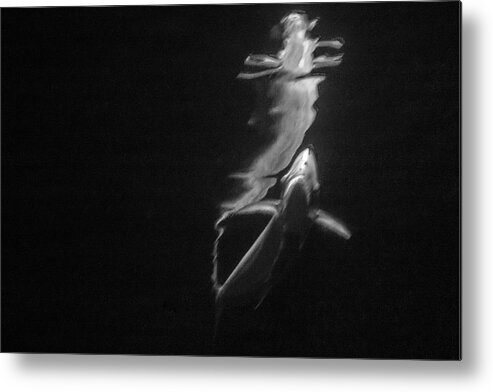 Black And White Metal Print featuring the photograph Under the Surface #3 by Gina Cinardo